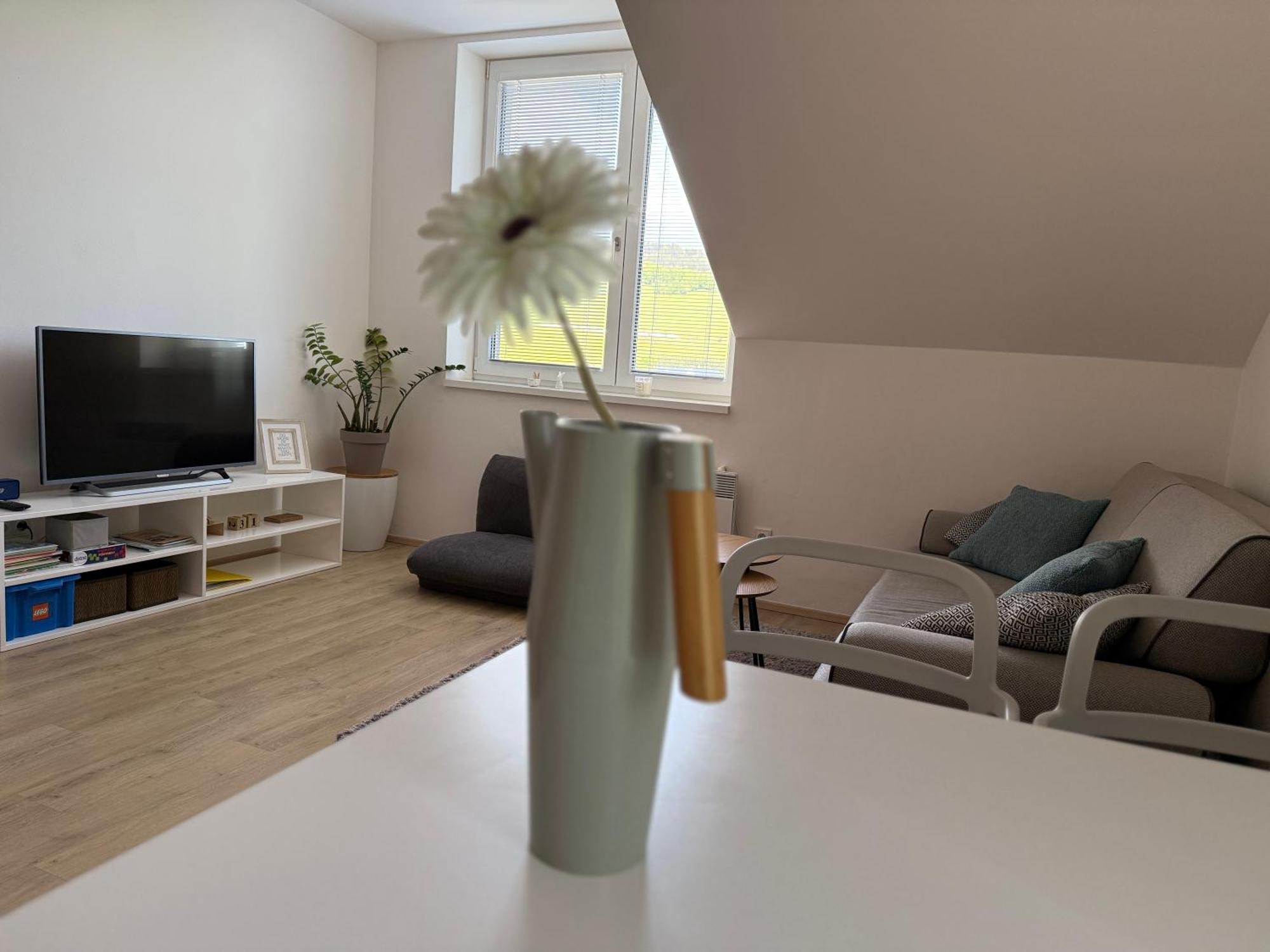 Apartman 2+Kk Dolní Morava Exterior foto